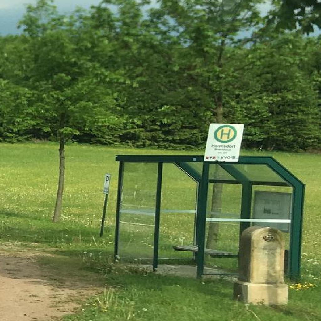 Buschhaus in Hermsdorf/Erzgebirge