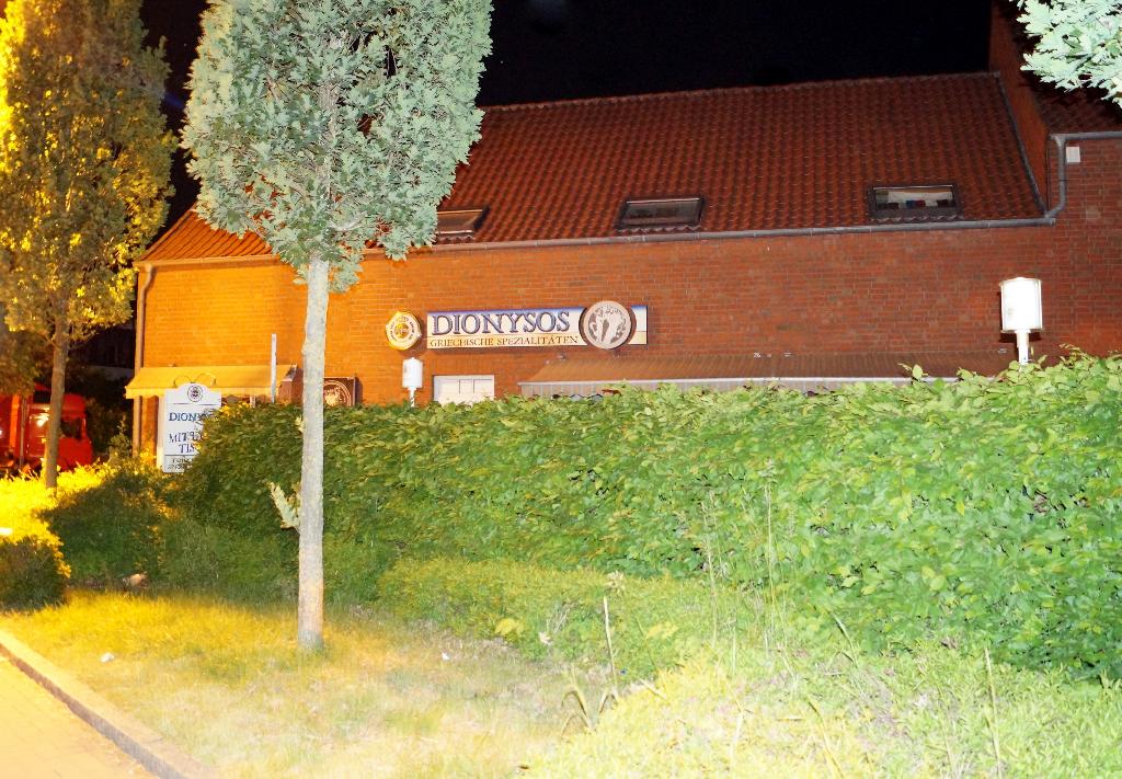 Dionysos in Verden (Aller)