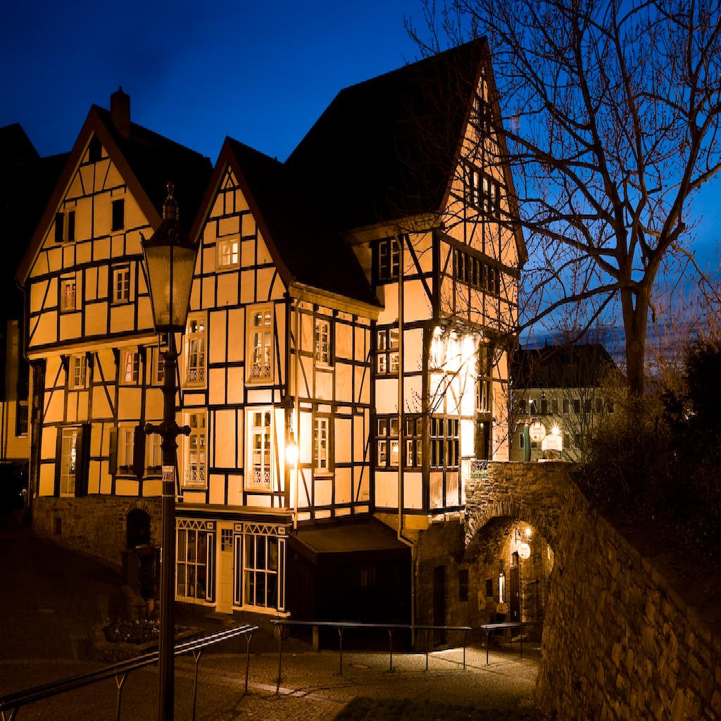 Mausefalle in Mülheim an der Ruhr