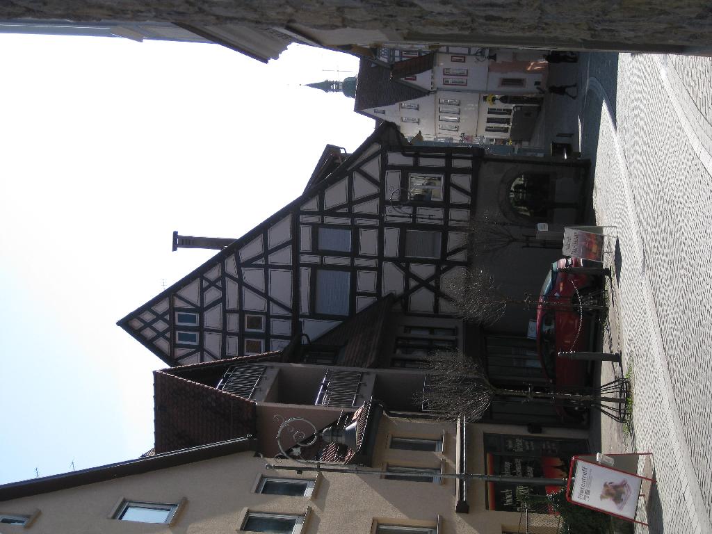 Ochsen in Waiblingen