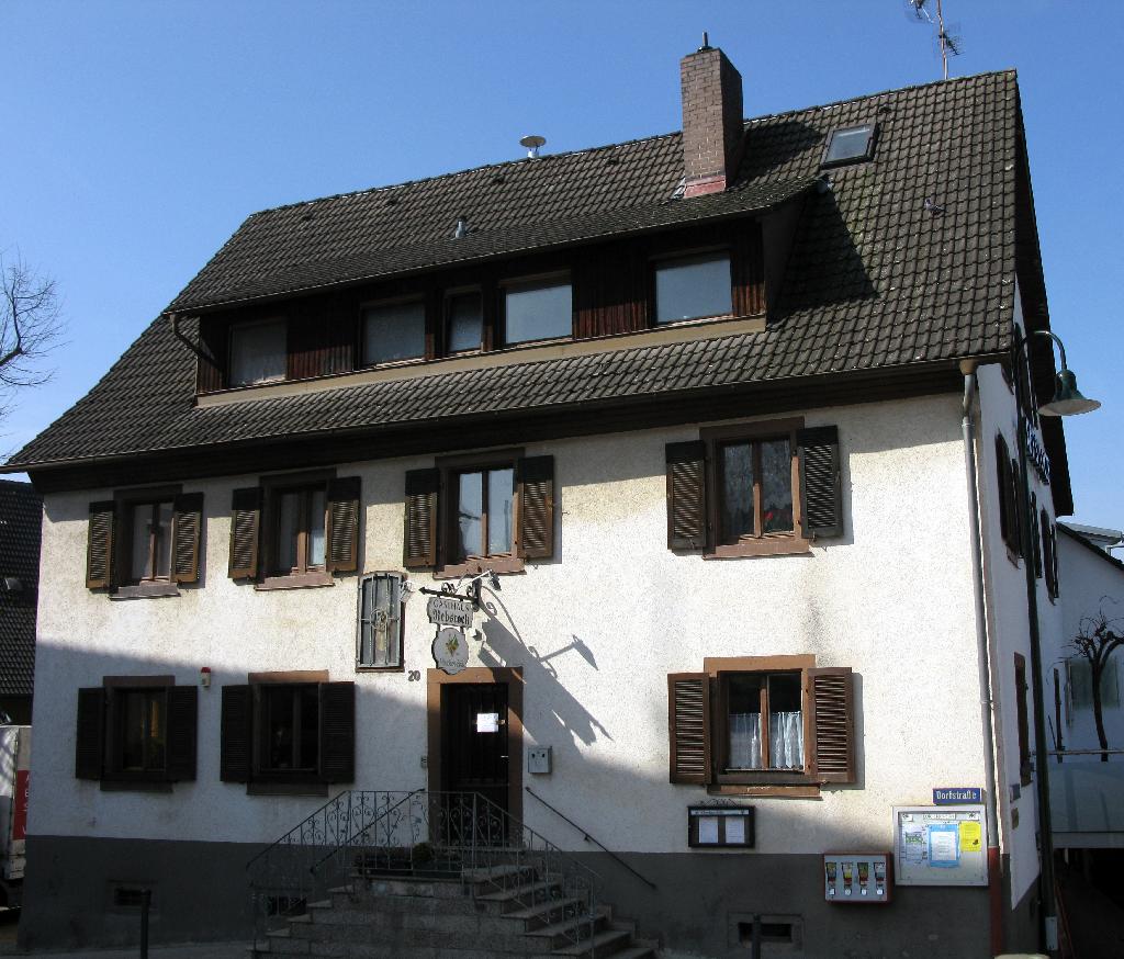 Rebstock in Gundelfingen