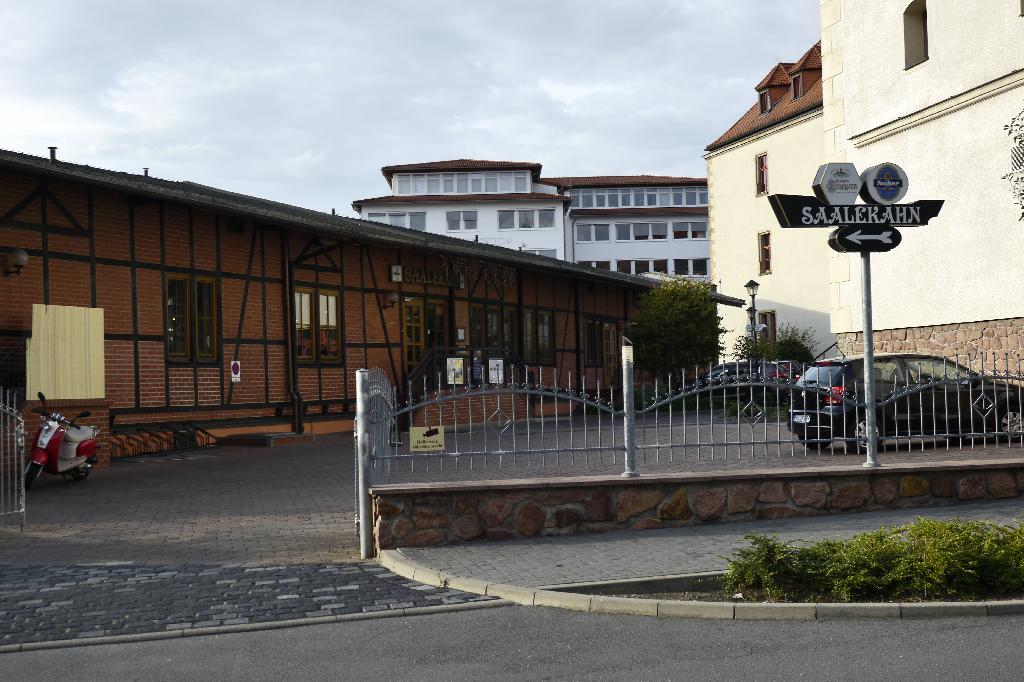 Saalekahn in Halle (Saale)