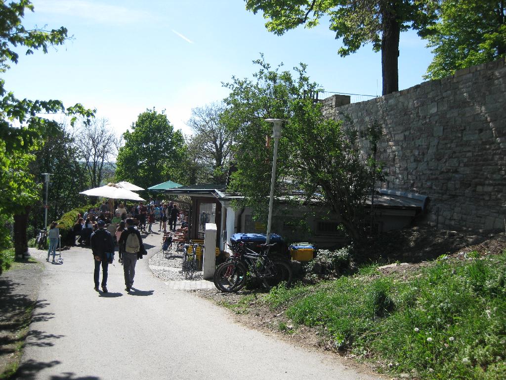 Schlosskeller in Herrenberg