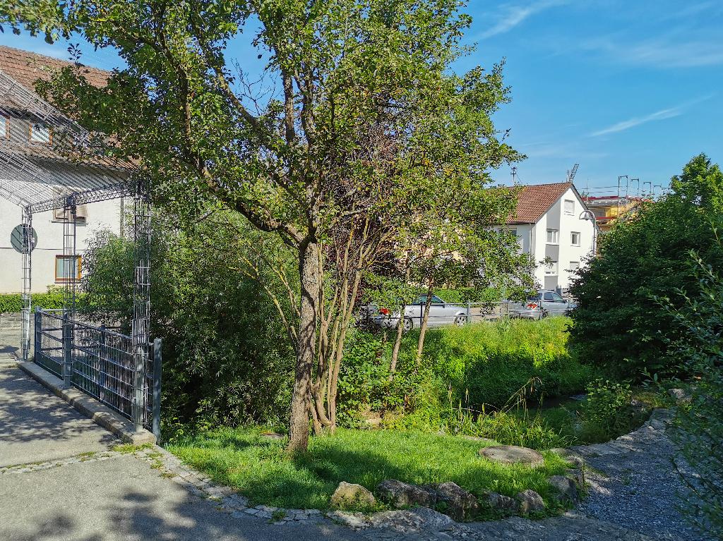 Syrtaki in Kernen im Remstal