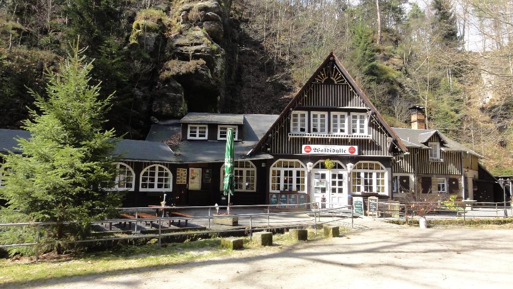 Waldidylle in Lohmen