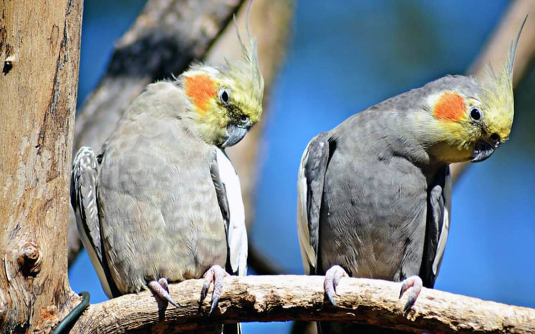 5 Fragen an den Tierpark Petersberg