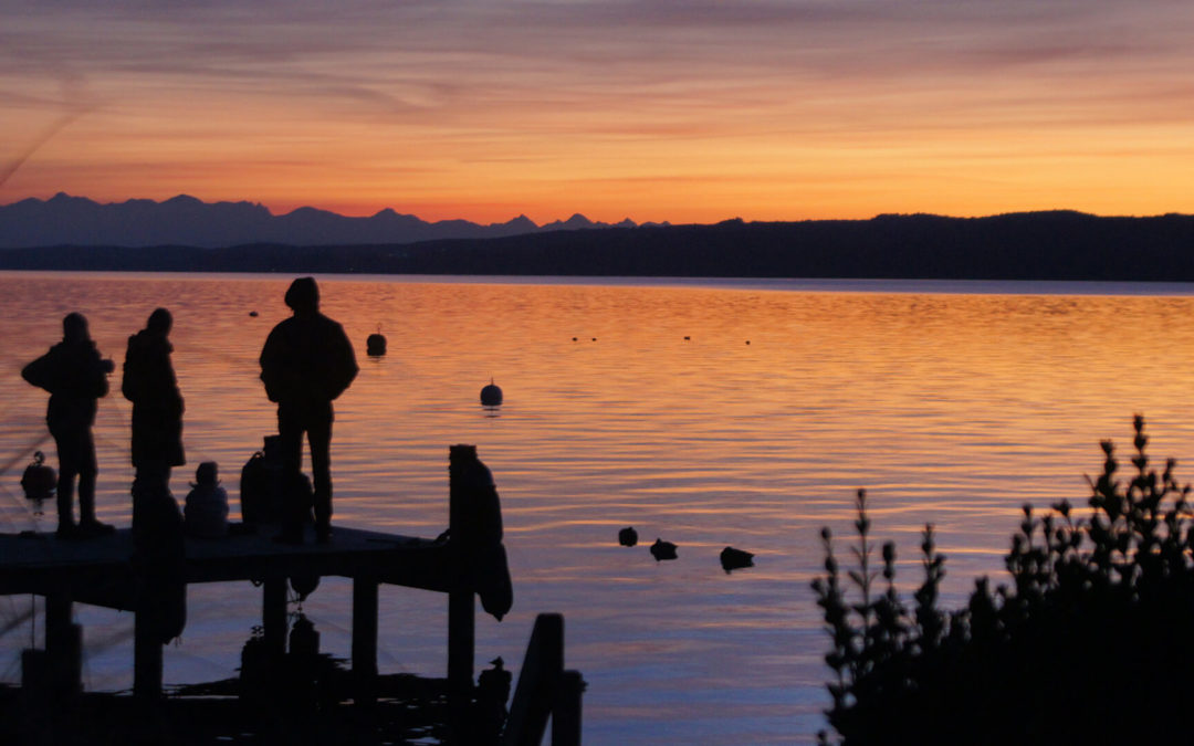 7 Fragen an Bettina von Op Jück