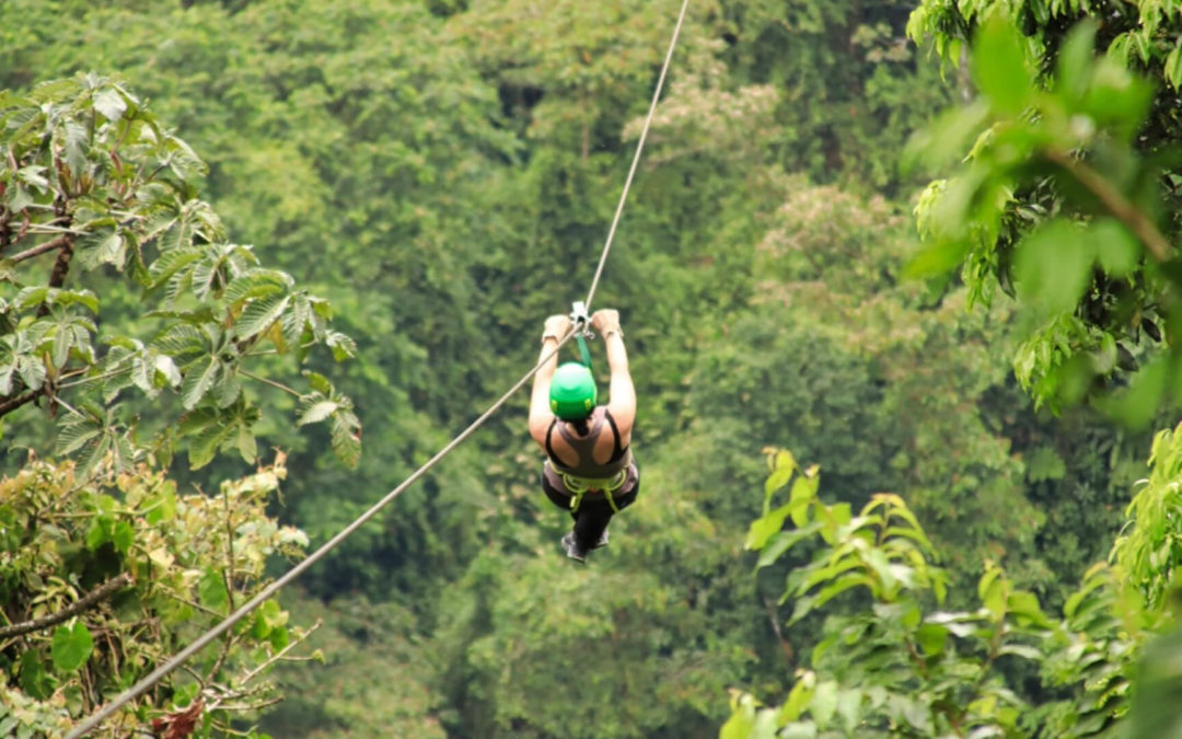 7 Fragen an Carola von travellingcarola