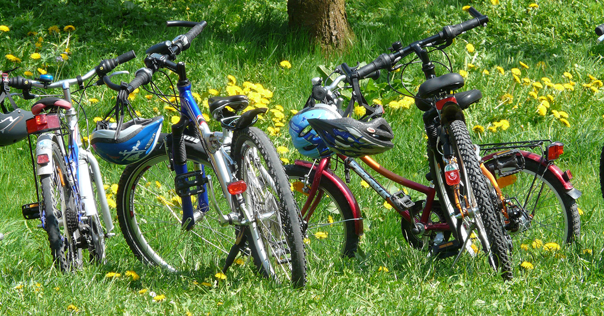 Fahrräder stehen auf einer Wiese, eine Familie macht eine Radtour