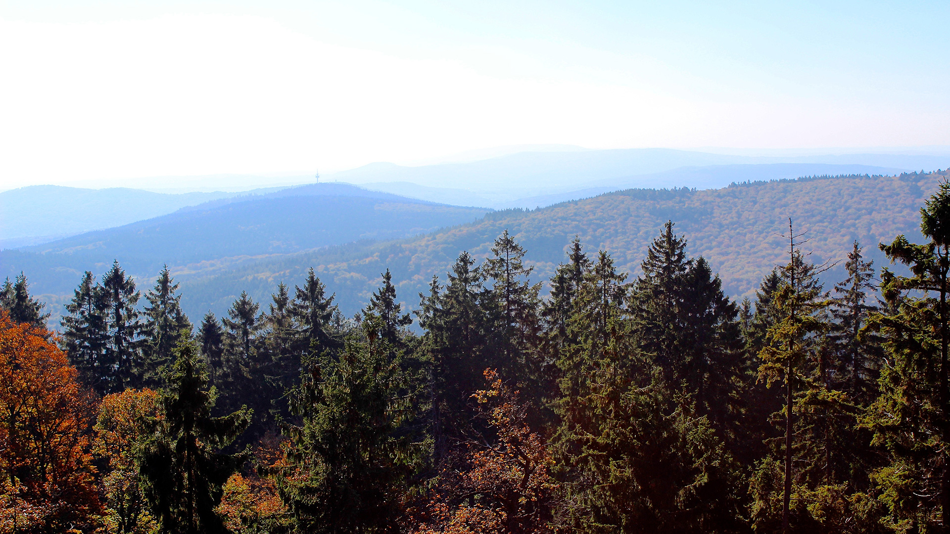 Taunus Sehenswürdigkeiten - Viel mehr als nur Wandern