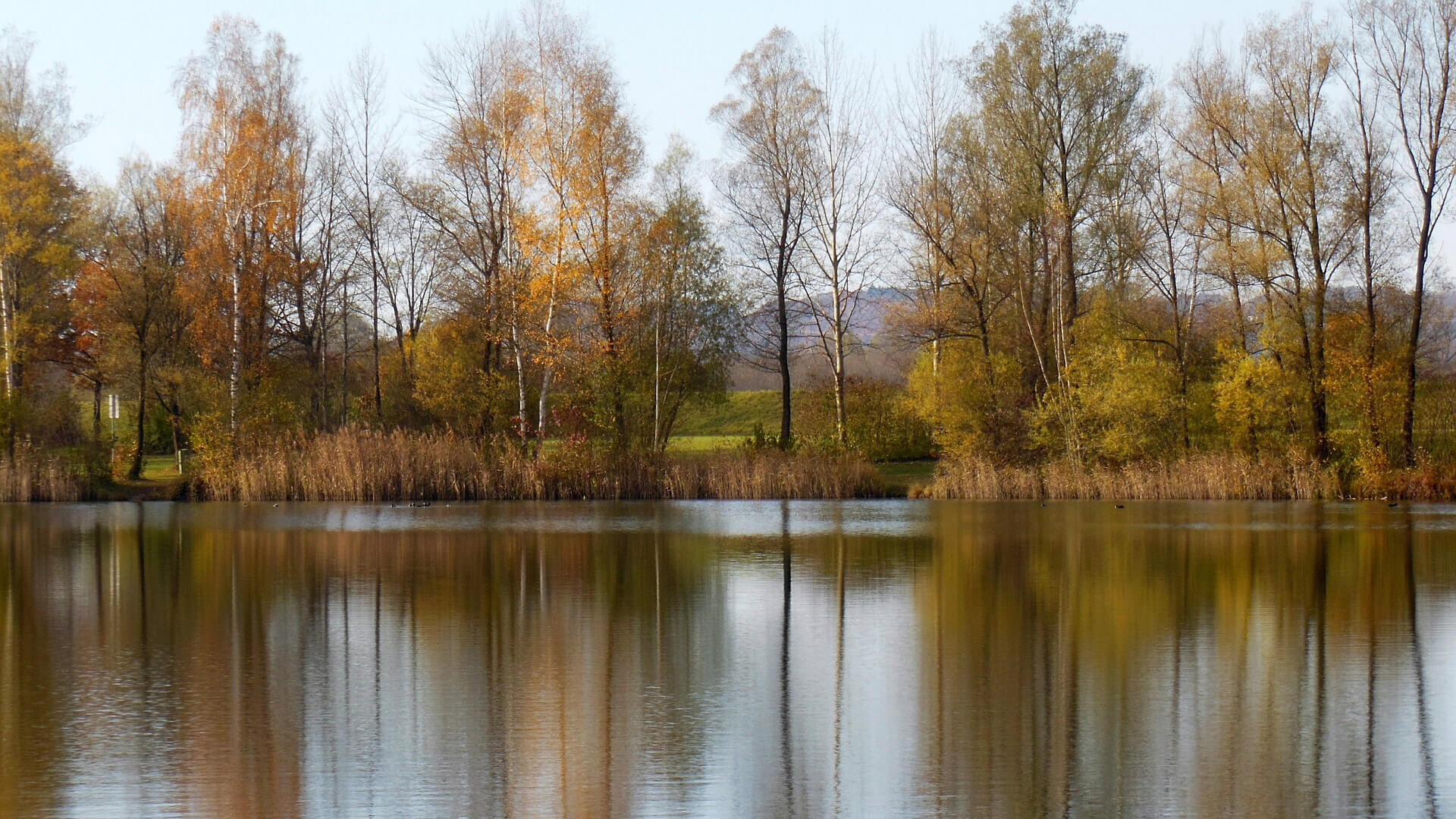 Die 10 größten Seen im Saarland