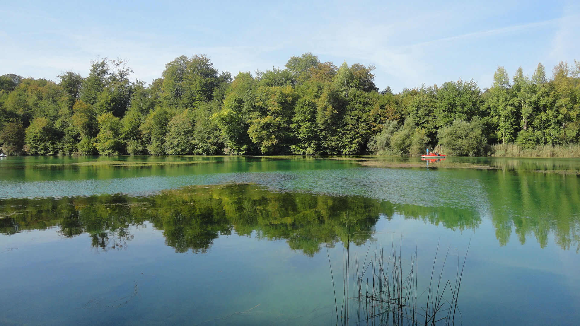 Die 10 größten Seen in Thüringen