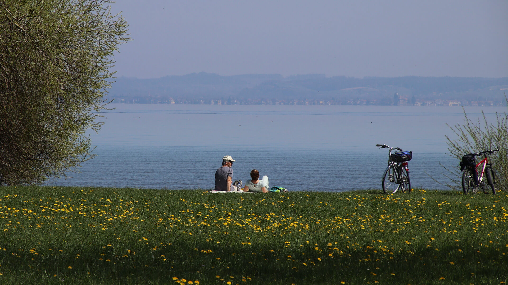 Die 10 schönsten Badeseen in Baden-Württemberg ...