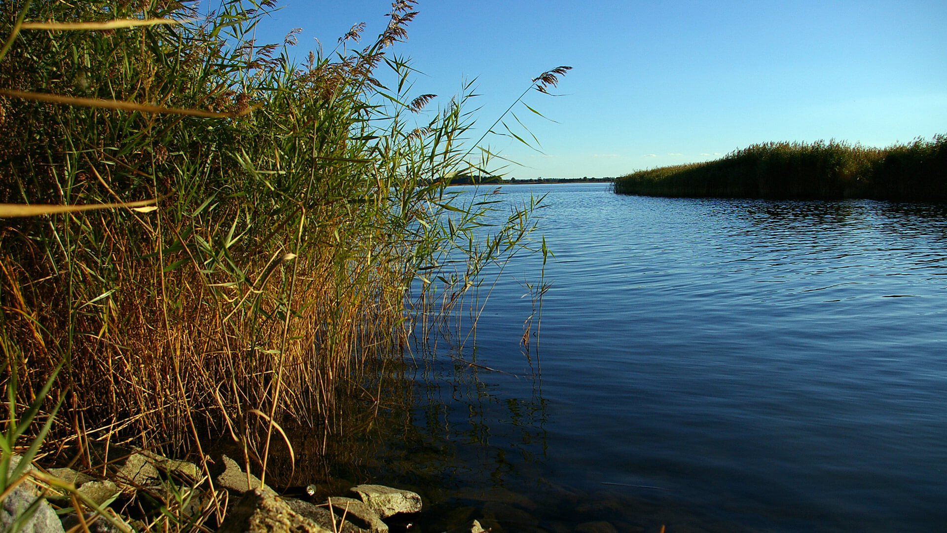 Die 10 schönsten Badeseen in Mecklenburg-Vorpommern