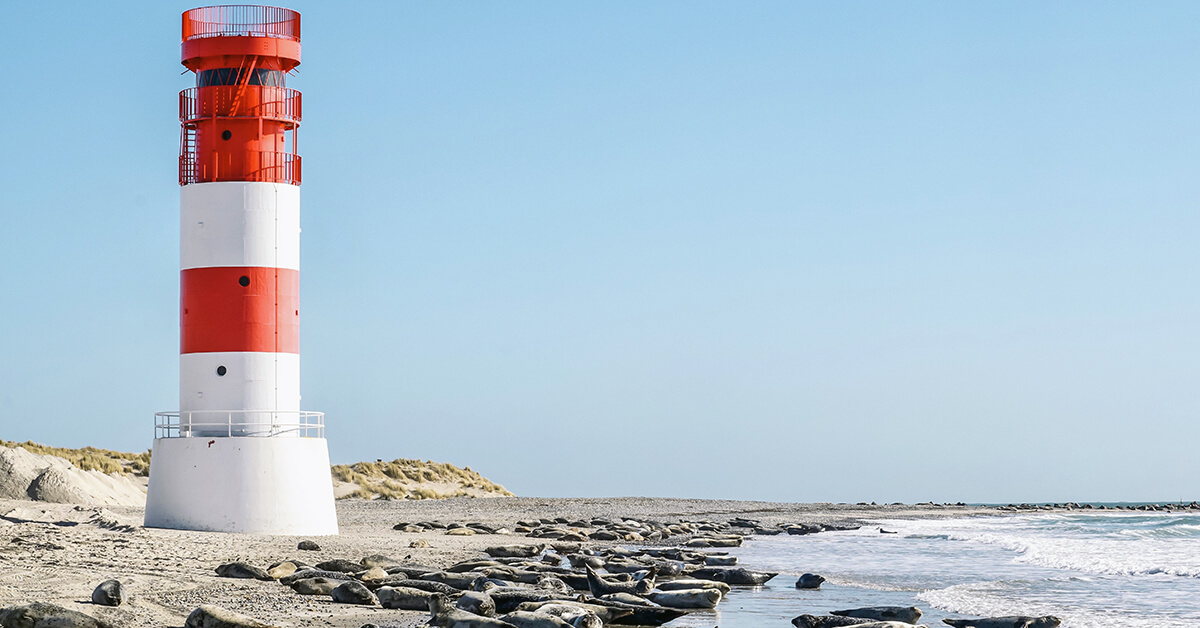 Helgoland Sehenswürdigkeiten - Die Top 10 Ausflugsziele | FreizeitMonster