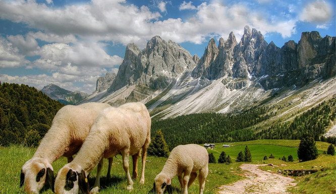 Kinderglück am Land: Südtirols Bauernhöfe erleben und entdecken