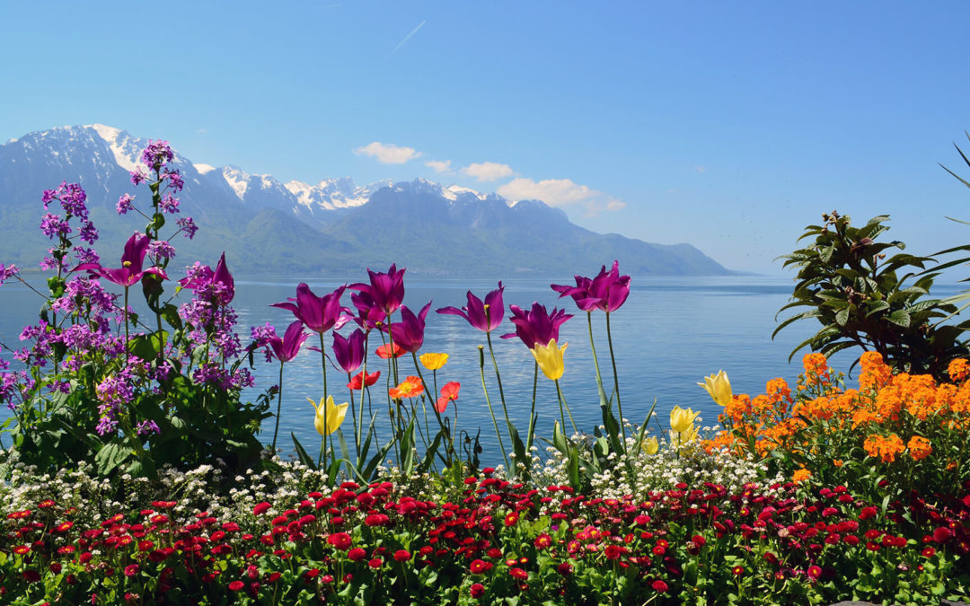 Lausanne Sehenswürdigkeiten – 13 Top Ausflugsziele