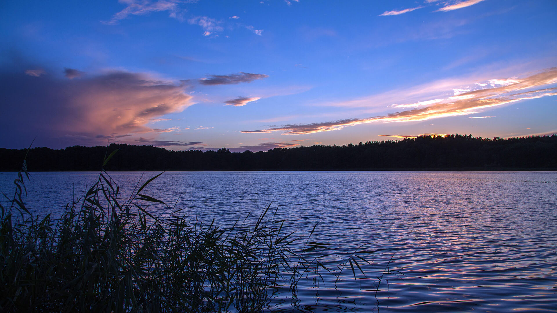 Müritz Sehenswürdigkeiten – 10 Top Ausflugsziele