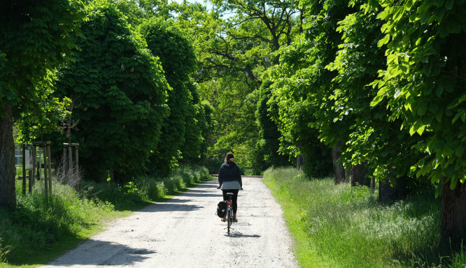 Nachhaltige Freizeittrends: Natur, Verantwortung und Erlebnis vereint