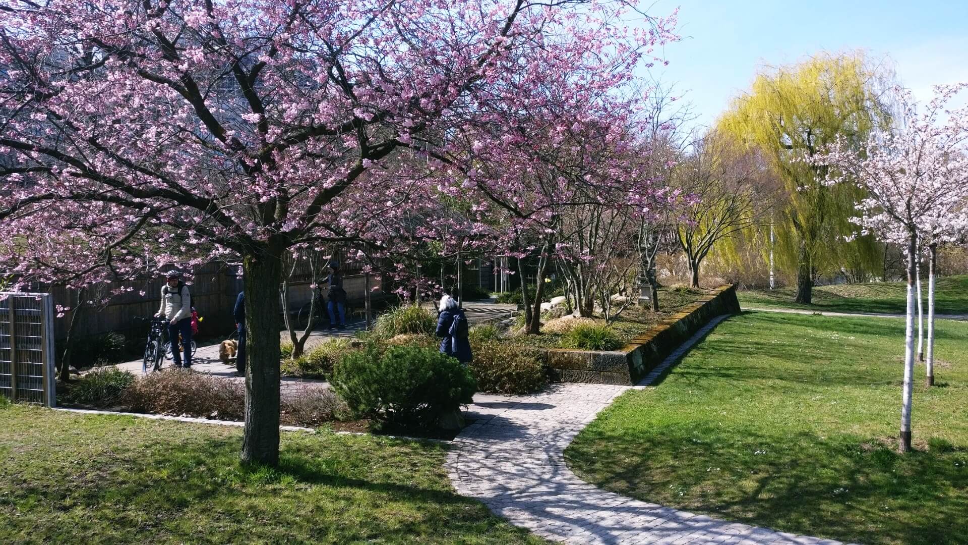 Naturlehrpfade in und um Täuffelen