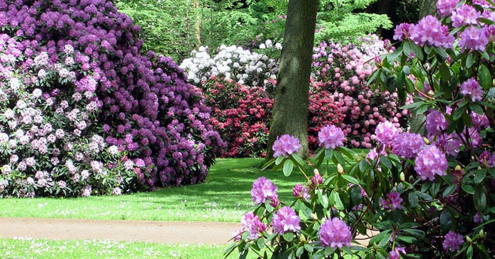 Sehenswürdigkeiten in Bremen Die Top 20 FreizeitMonster