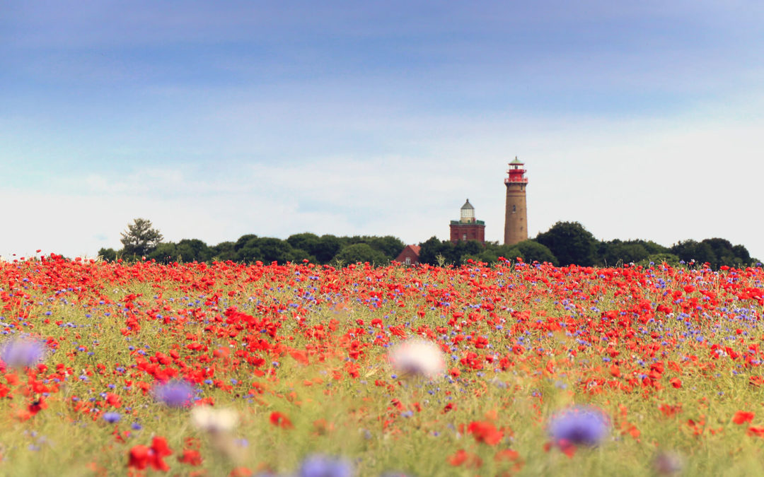 Sehenswürdigkeiten auf Rügen – Die Top 12 Ausflugsziele