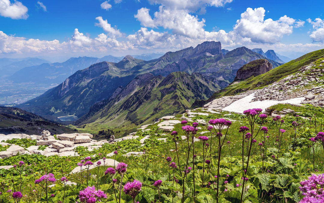 St. Gallen Sehenswürdigkeiten – 13 Top Ausflugsziele