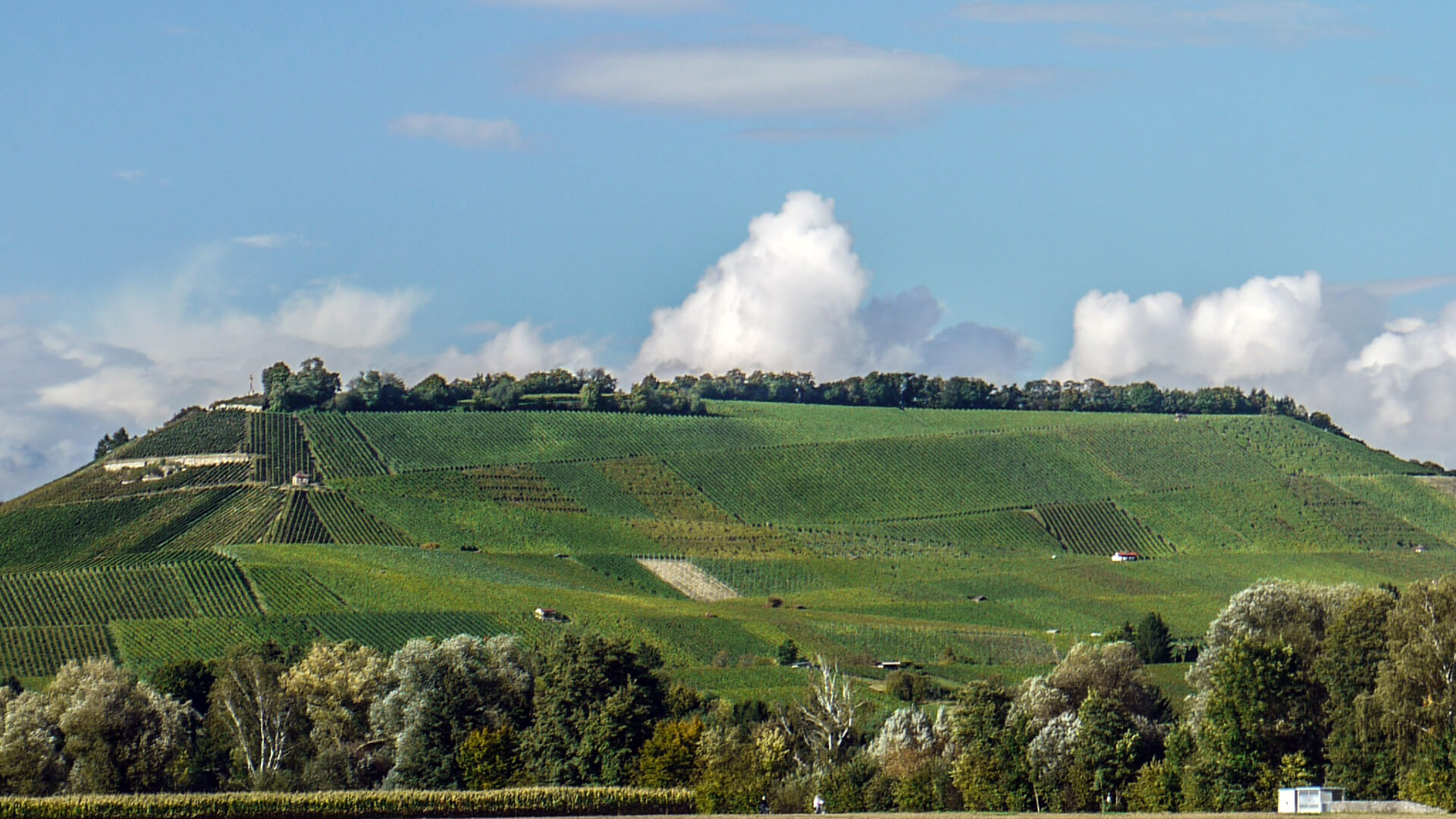 Die schönsten Wanderregionen in Baden-Württemberg